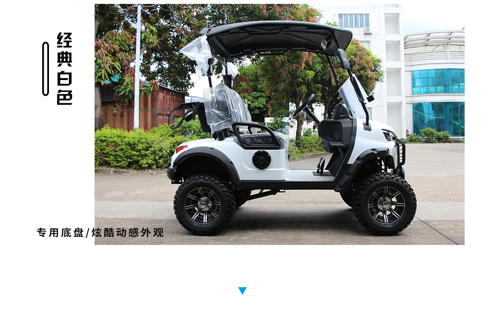 2-Seater Golf Cart, Cross-Border Sightseeing Vehicle, Tourist Attraction Hotel Shuttle Bus, Golf Course Ball-Picking Cart, Golf Cart