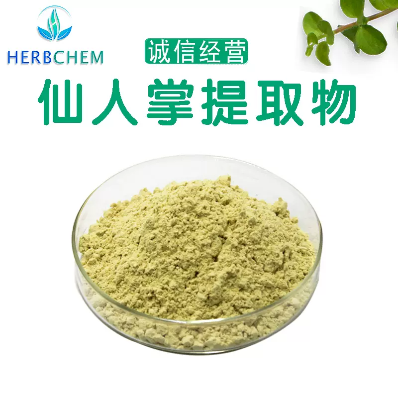 仙人掌提取物10:1仙人掌粉仙人掌提取物源头厂家现货供应可咨询