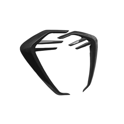 Spoiler – dry carbon accessories