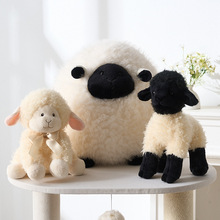 ��ͨ����С����ë�q����������Ę����ż�����ތ��������