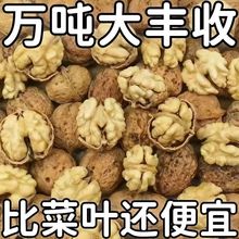 ����Ϙ��ɽ������ԭ���B2025���º�����Ϻ������uͨһ�����l