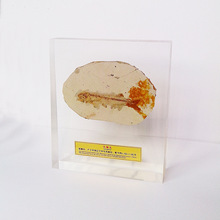 ��ʯ�˱�ˮ��悼���ͯ�̌W��˱���������Ƕ�[����ʯ���üo��Ʒ