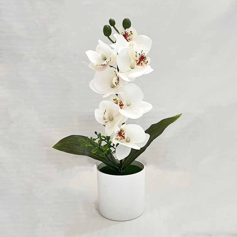 화이트 (높이 31*폭 20cm)