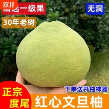 正宗福建度尾文旦柚红心柚子新鲜当季水果孕妇应季时令10斤装