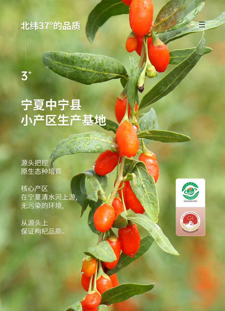 Ning'anbao First Harvest Zhongning Goji Berries 250g Jar Ningxia Dried Wolfberry Ready to Eat overview