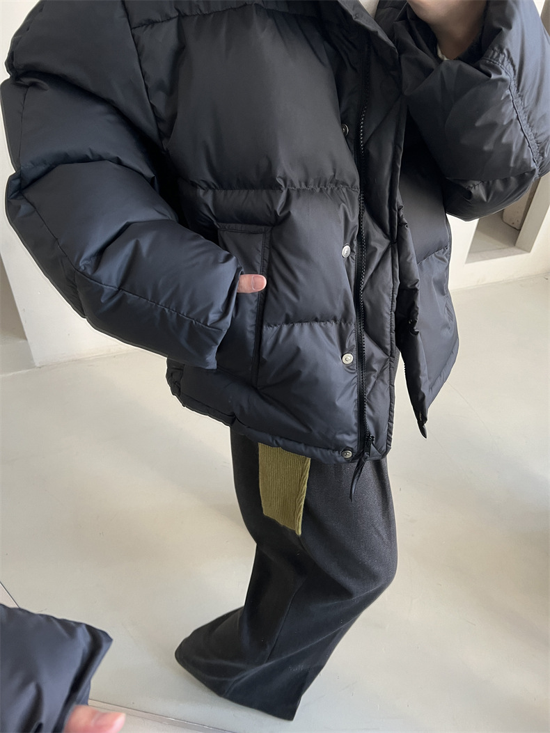 2024-11-26 150500.jpg