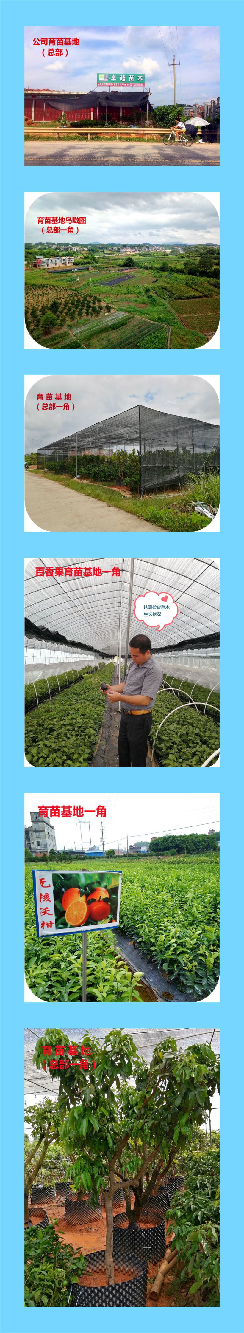 ����չʾͼ_����