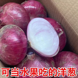 �ϼtƤ���[10�����r���[�F�����[5��A���[�^�ԷN�߲����l�r�r��