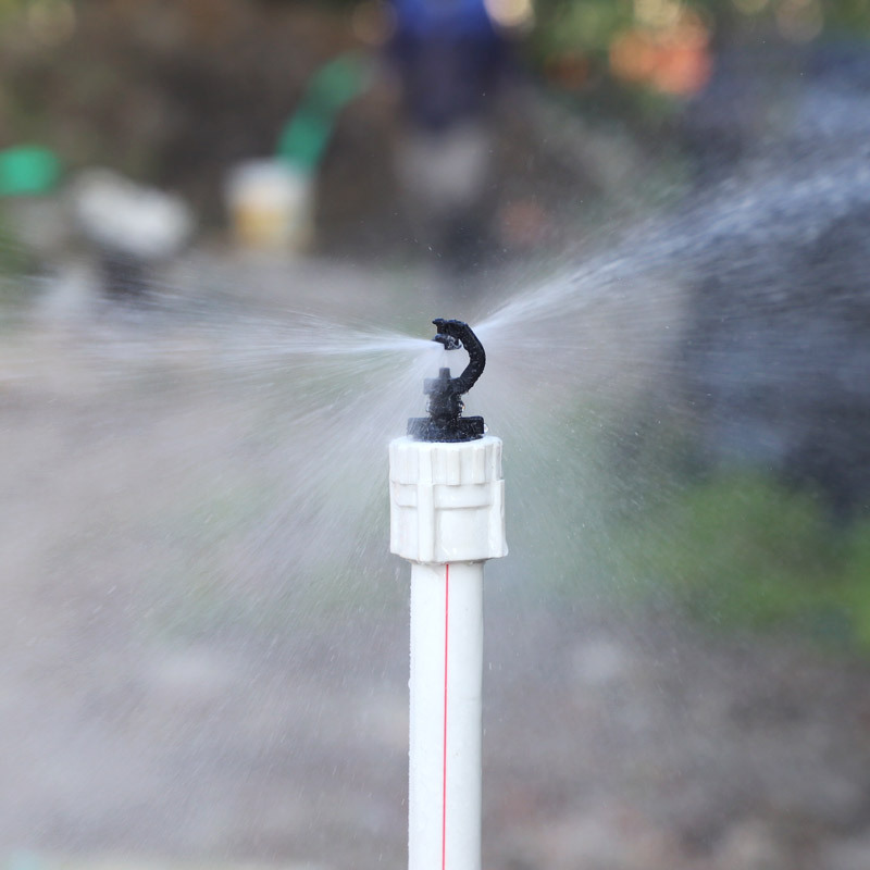 Nuevo rociador de fruta del dragón precio unitario sin impuestos