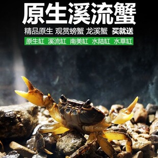 ԭ��Ϫ��зС�з��������з����зԽ�^�pɽ�з�r��ˮ����ͯ����