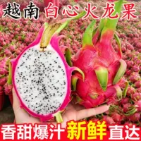 Белая питайя, целая коробка оптом_свежесорванные фрукты с низким содержанием сахара-1688