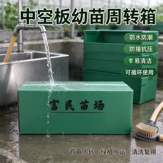 透气排水钙塑中空板种苗育苗箱 苗木防烂根培育周转箱