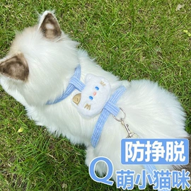 狗狗牵引;猫猫牵引;狗狗玩具