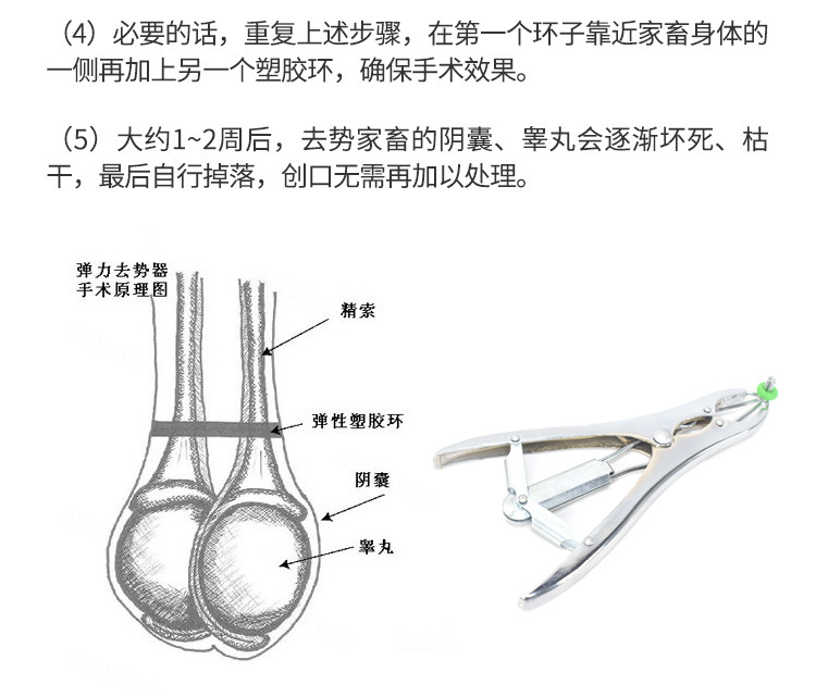 详情1_17.jpg