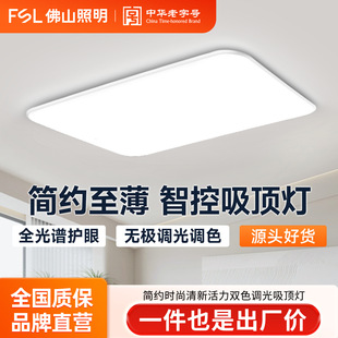 FSL��ɽ����LED��픟�A���pɫ�{�ⷿ�g���ҟ��o������ȫ���V
