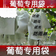 葡萄代子套果袋水果套袋纸套果子的袋子果树葡萄袋子防鸟防垒德株