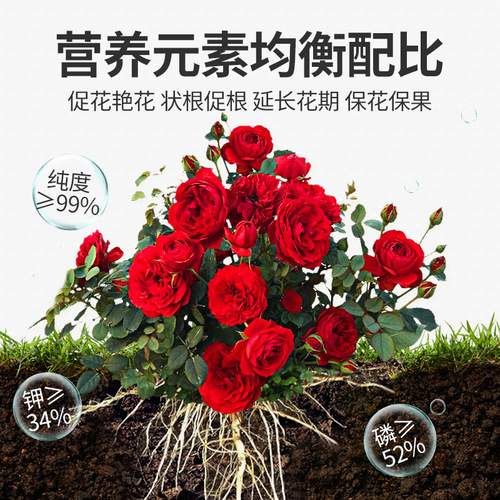 Eight old men potassium dihydrogen phosphate foliar fertilizer water-soluble fertilizer flower fertilizer high phosphorus potassium sunflower jasmine flower promotion