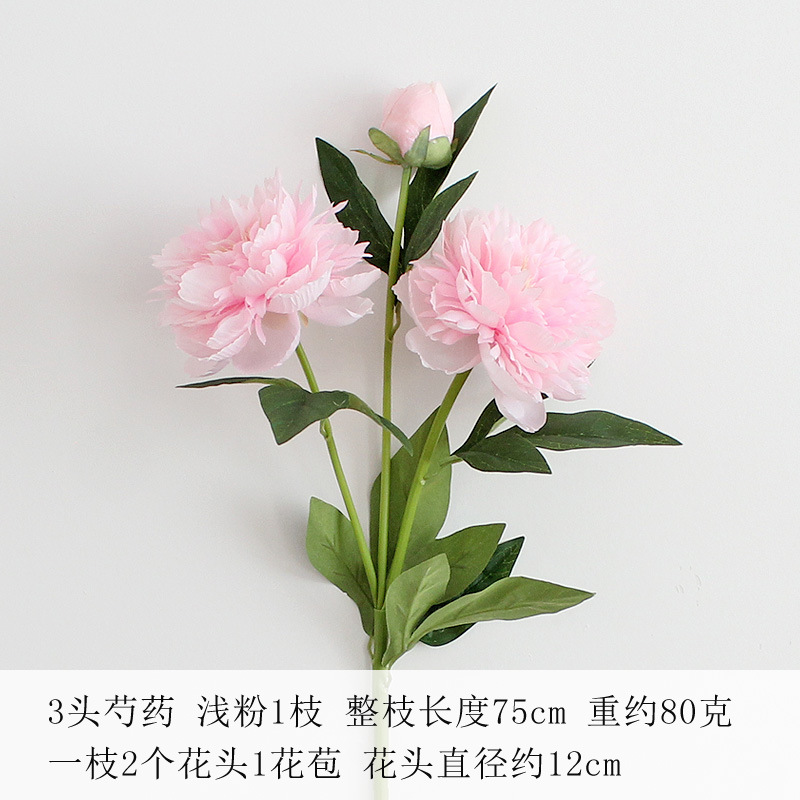 얕은 분말
