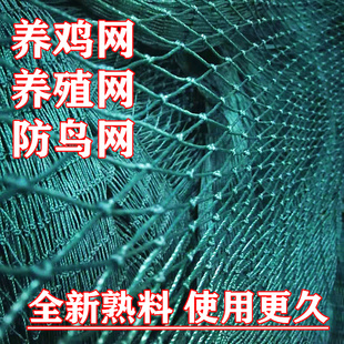 �B�u�W�r�u�W��W���u�W�ˈ@�W���u�W���ھW��������Bֳ�W픾W
