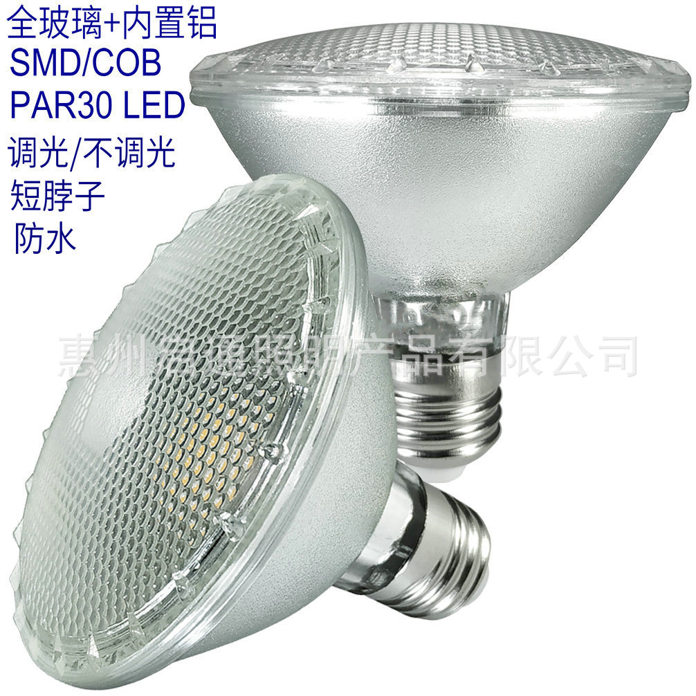 10W 12W COB LED PAR30射灯泡 E26 E27 PAR30光源 室内/室外 防水