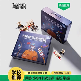 解环、解锁;棋牌/桌游;积木类