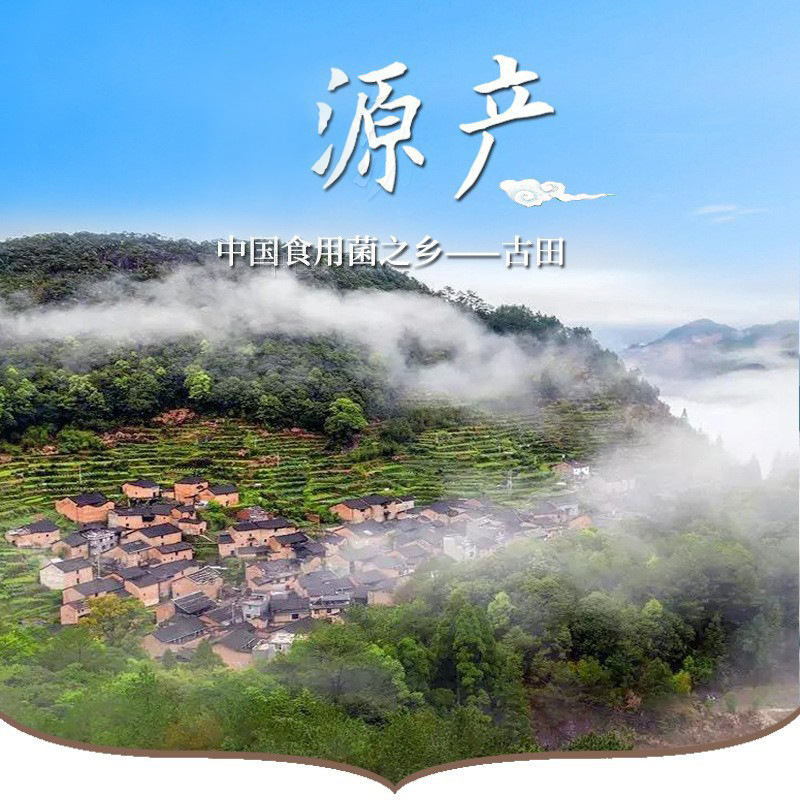 O1CN01F4396z2BEerVh0HuX_!!4235