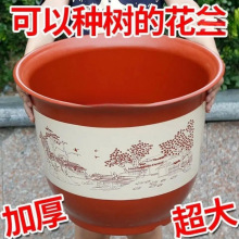 ϻ̖؃r}մ͸N䌣úбP