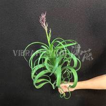 �����ָп՚��P�� �Ҿ�ܛ�b�Gֲ�[�� �҃ȿ��g��ˇ�쾰�Gֲ ���Q