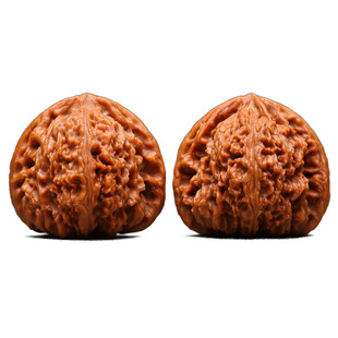 ĥ�P�{���^�������ɽ�ع��P�����������������С���������