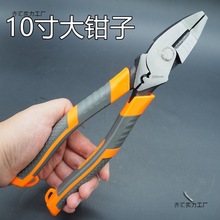 �๦��䓽z�Q�Ӵ�̖�����ϻ��Q10���F�z�Q늹��I����ྀ�˽z����