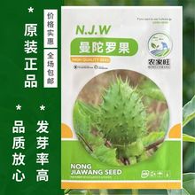 �����_���N��ͥԺ�������Լ�ͥ�̨�Nֲ���ݻ����ݻ��ļ����N��