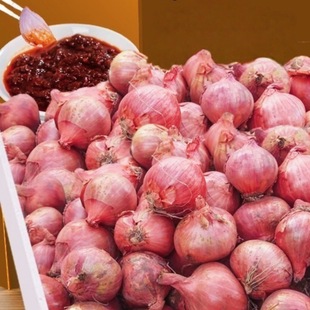 ���ږ|��ë�[�^�����[���[Сë�[�^��ë�[�t�[�^С���[���r�߲�