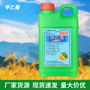 �S����݃� ������������������ǰ���]�������݄�����ݬȥ��300��