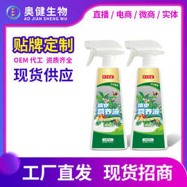 植物营养液批发大树绿植盆栽嫁接园林养护促生长一件代发