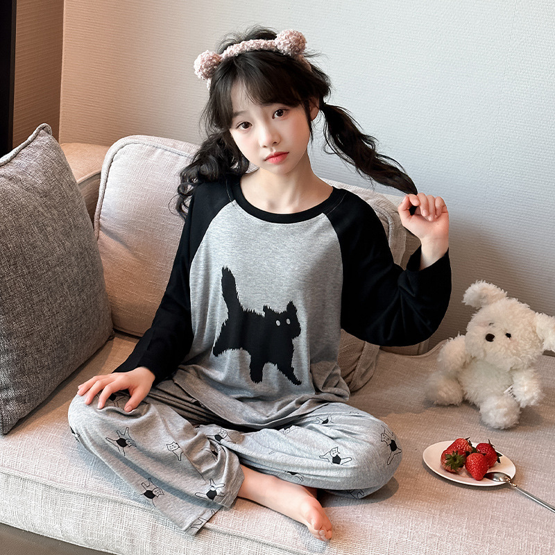 510 모달 작은 검은 고양이