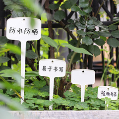 Amazon gardening label insert succulent label plant flower label T-shaped large plastic sign