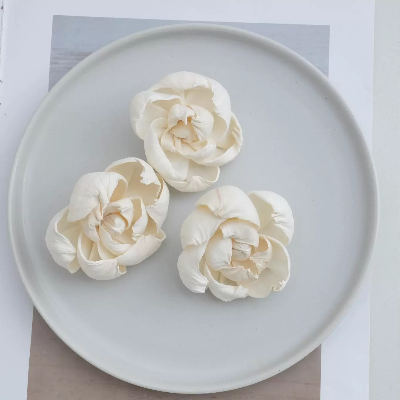 现货6cm天然通草花无心菊香薰花杆扩香配件装饰手工干花仿真花