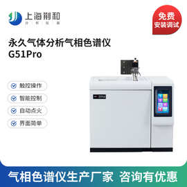 荆和 永久气体分析 焦炉煤气水煤气专用气相色谱仪高纯气体检测