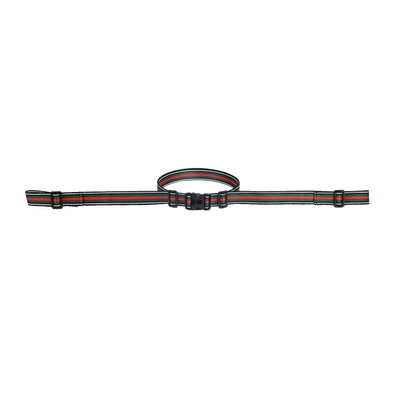 Other Automotive Safety Supplies – Scooter Rear Seat Strap