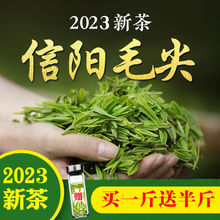 茶叶毛尖2023新茶雨前春茶高山云雾散装绿茶