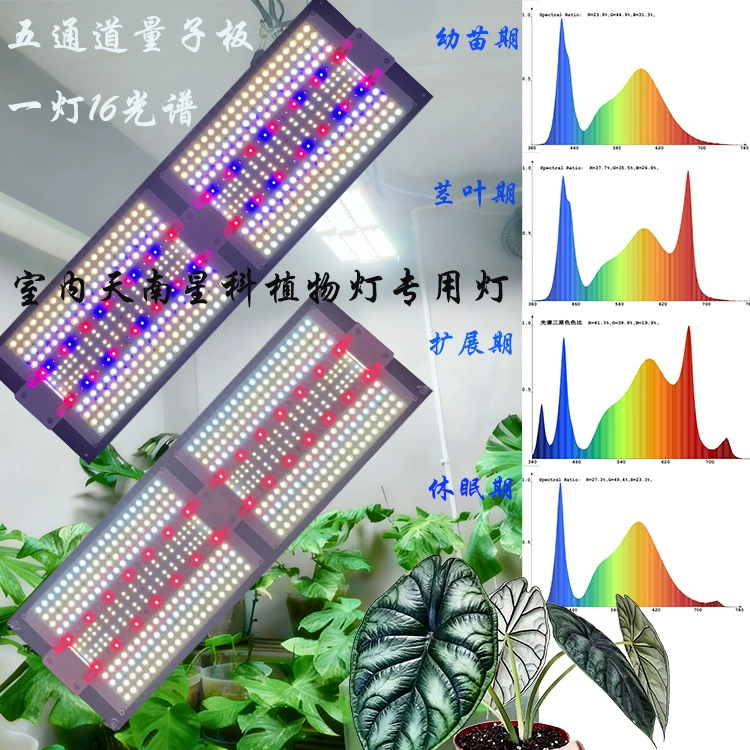 LED plant lamp, quantum lamp, fill light, comfortable light spectrum