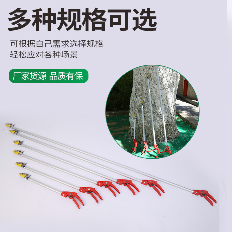 Winda tijeras de recolección de fruta de rama alta retráctil dispositivo de recolección de fruta tijeras de rama Litchi longan Granada caqui tijeras de recolección de herramientas de jardín