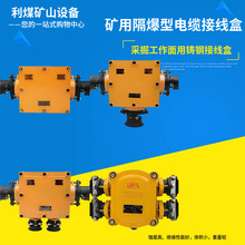 �T䓵�BHD2-100/1140(660)-2G 3G 4G�V�ø����͵͉���|�Ӿ���