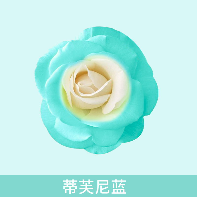 Material de embalaje de flores frescas Agente de tinción en aerosol de flores secas Salsa de ciruela negra Pintura en aerosol de flores Pintura en aerosol de flores Agente de color de flores