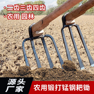 Wholesale iron rake hoe four-tooth hoe horticultural flat point agricultural wide narrow rake loose soil planting tools 2 teeth 3 teeth hoe