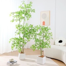 ����Gֲ��������������҃ȷ���ֲ��[���͏d�p���b��辰�٘�