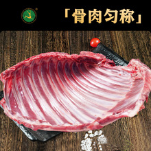 世鹿原切梅花鹿排骨 高蛋白低脂肪鹿肉制品 餐饮生鲜冷链空运热卖