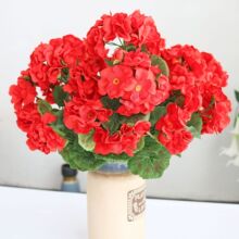 �羳������溣�Ļ����N����Y���Ľ���·���b廨�W���ҾӔ[