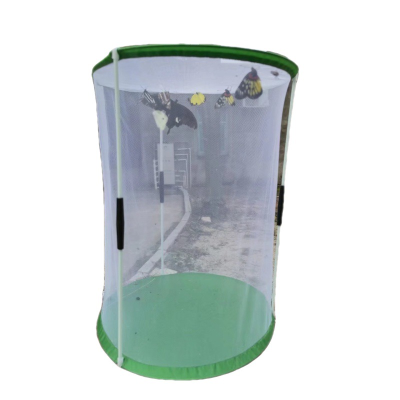 Soporte cilíndrico de producción propia barril jaula de alimentación de mariposa jaula de observación de insectos jaula de malla transparente jaula de visualización