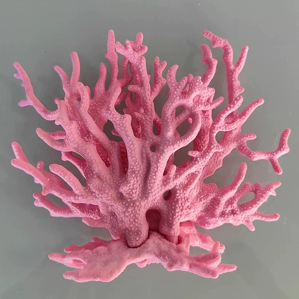 Fuchsia, coral